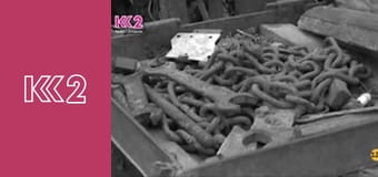 Спадщина E17 - Гуска з грибами