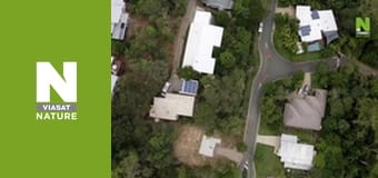 Aussie Snake Wranglers - Hide and Seek