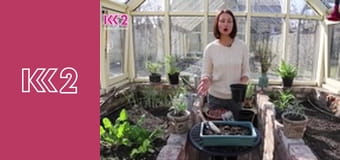 Удачний проект S2E51