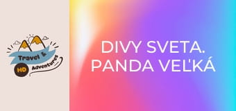 Divy sveta. Panda veľká Divy sveta. Panda veľká