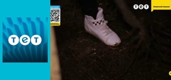 Панянка-селянка