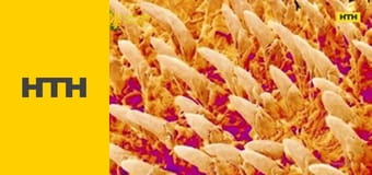 "Правда жизни. Профессиональные байки".