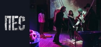 Dog, Season 5, Episode 20