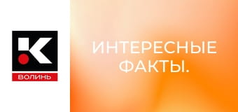 Интересные факты.