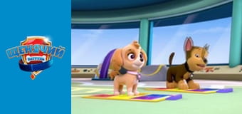 Щенячий патруль. Сезон 1 – серія 4