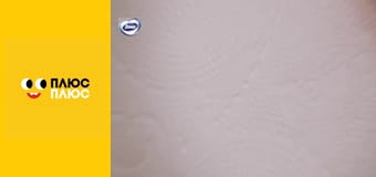 Історія жителів Сильванії