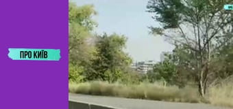 Кафе "Пінгвін" на Куренівці. Історія створення та сьогодення. Культові місця Києва #1.