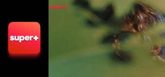 Т/с "Дитячий охоронець", 24 с. "Ритуал".