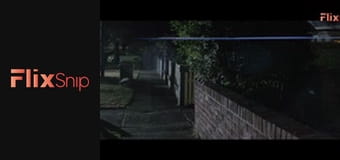 Бурштиновий амулет