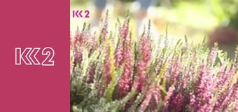 Шість соток S2E32