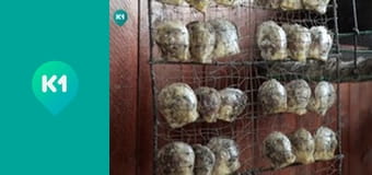 "Інший світ".