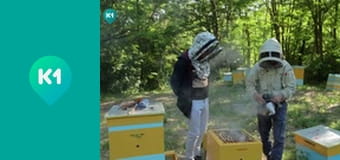 "Так не бывает".