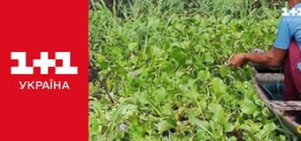 Світ навиворіт