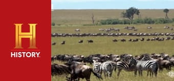 Звезды ломбарда, 24 сезон, 13 эп. В ломбарде не плачут.