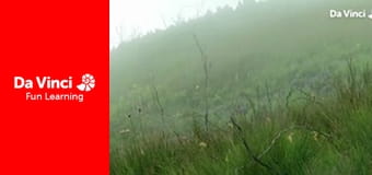 Сияя - Отправьтесь с нами - Очарованный лес