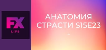 Анатомия страсти S15E23 - Что я сделал за любовь