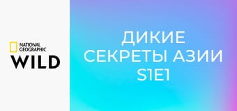 Дикие секреты Азии S1E1 - Юные и дикие