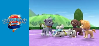 Щенячий патруль. Сезон 1 – серія 3