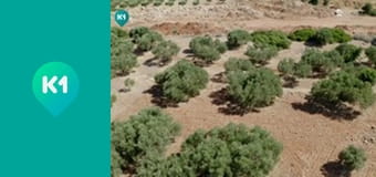 "Хижі до їжі" з Андрієм Бєдняковим.