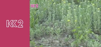 Удачний проект S3E16