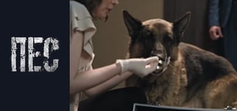 Dog, Season 6, Episode 7