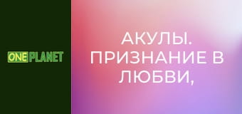 Акулы. Признание в любви, 2 эп.