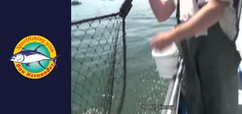 New Huck Finn, part 1 New Huck Finn, part 1