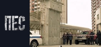 Пёс, Сезон 3, Серия 24