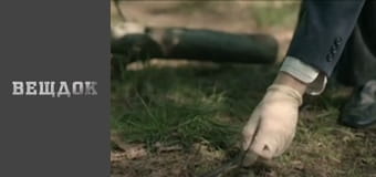 The last fellow traveler