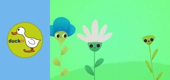 Nature Dudes - Flowers and Bees