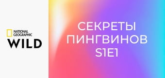 Секреты пингвинов S1E1