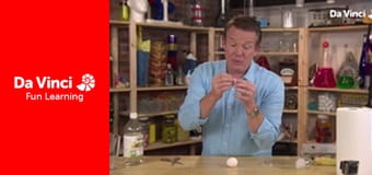 DIY SCI - Eggs DIY SCI - Eggs