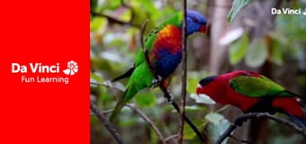 Посольство животных - Панда и ара Посольство животных - Панда и ара