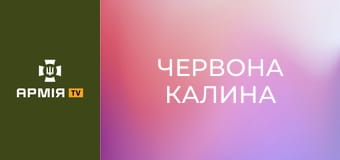 Не брали в армію через вагу. Сім'я в окупації. Робота на еваку та стабпункті. Покровськ. Добропілля || 14 БрОП НГУ "Червона Калина".