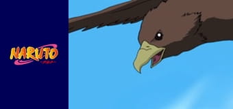 Naruto Season 1 Episode 185