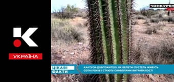 Цікаві факти. Цікаві факти.