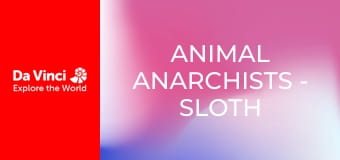 Animal Anarchists - Sloth Moths and Their Very Slow Host