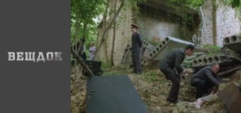 A special episode. Someone else's good - Golden scales