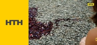 Т/с "Гаваї 5.0", 5 сезон, 17 і 18 с.