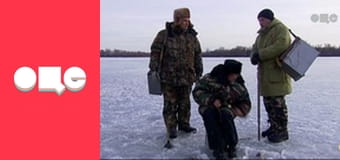 Т/с "Леся+Рома", 66 с.