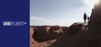 Стоит побывать. - cерия 6 Стоит побывать. - cерия 6