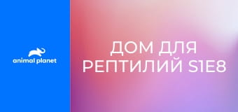 Дом для рептилий S1E8 - Террариум юрского периода
