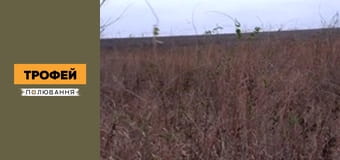 Трофейне полювання Сезон 1 Епізод 45