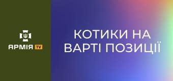 Котики на варті позиції | FPV полюють на сили Оборони || Фенікс ДПСУ.