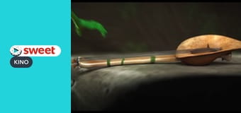 The Cricket and the Ant