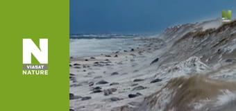 Дикая Канада - Лето