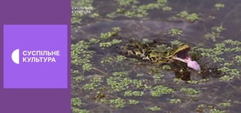 Д/с "Світ дикої природи. Дикі тварини". "Болота".