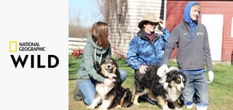 Врачи Хартленда S4E6 - Жеребячий новый мир