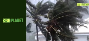 Отчаянные часы, 3 эп. Эпидемия.