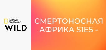 Смертоносная Африка S1E5 - Калахари